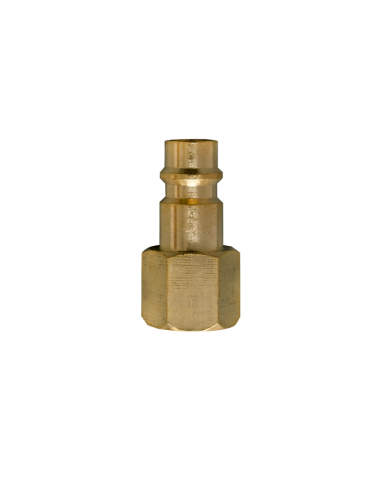 AIRPRESS Enchufe de pezón 1/4" Euro hembra (1)