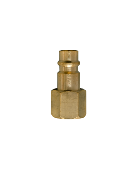 AIRPRESS Enchufe de pezón 1/4" Euro hembra (1)