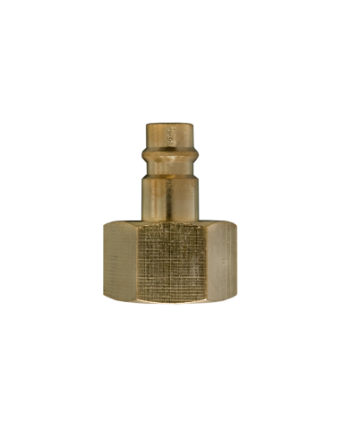 AIRPRESS Enchufe de pezón 1/2" Euro hembra (1)