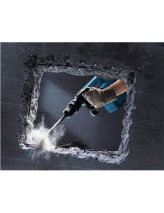 BOSCH Martillo demoledor SDS max GSH 11 E Professional 2
