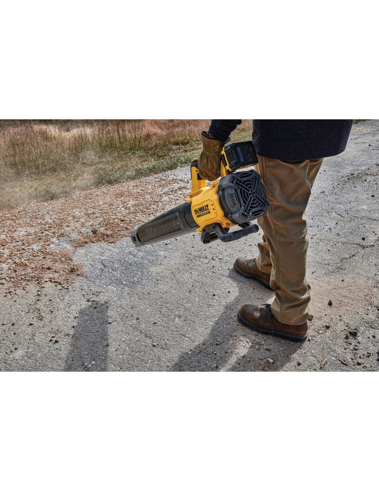 DEWALT SOPLADOR BATERIA