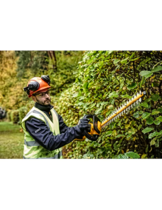 Cortasetos de pértiga XR 18V 55cm 25mm con 1 batería Li-Ion 5Ah (2) 2