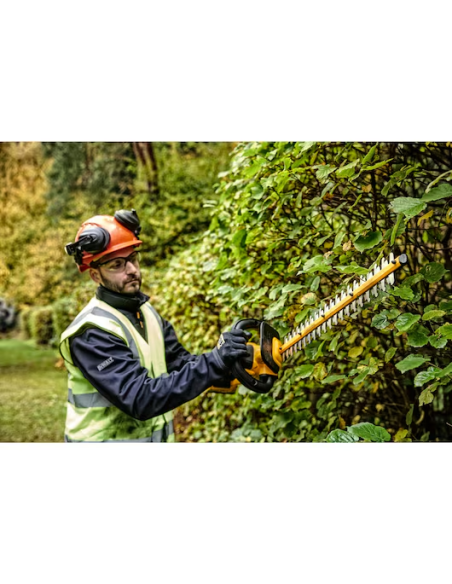 Cortasetos de pértiga XR 18V 55cm 25mm con 1 batería Li-Ion 5Ah