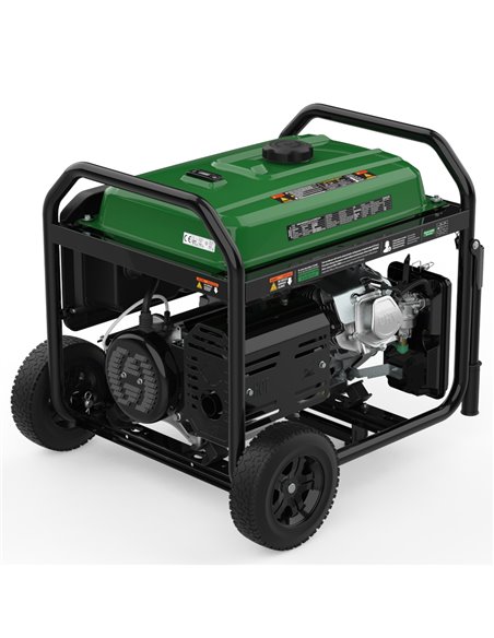 Generador 8500W-230V Gas y Gasolina Arranque Eléctrico Modelo Natura 8000