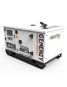 Generador 10kVA 8.000W 230V Diesel Modelo GDS10M