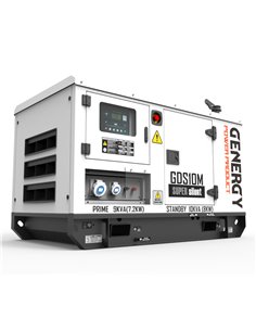 Generador 10kVA 8.000W 230V Diesel Modelo GDS10M 2