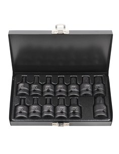 SET DE 13 PUNTAS DE IMPACTO HEXAGONALES Y TORX DE 1/2" 