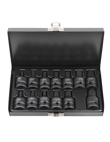 SET DE 13 PUNTAS DE IMPACTO HEXAGONALES Y TORX DE 1/2" 
