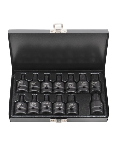 SET DE 13 PUNTAS DE IMPACTO HEXAGONALES Y TORX DE 1/2" 
