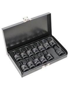 SET DE 13 PUNTAS DE IMPACTO HEXAGONALES Y TORX DE 1/2"  2