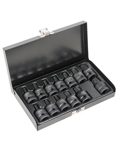 SET DE 13 PUNTAS DE IMPACTO HEXAGONALES Y TORX DE 1/2" 