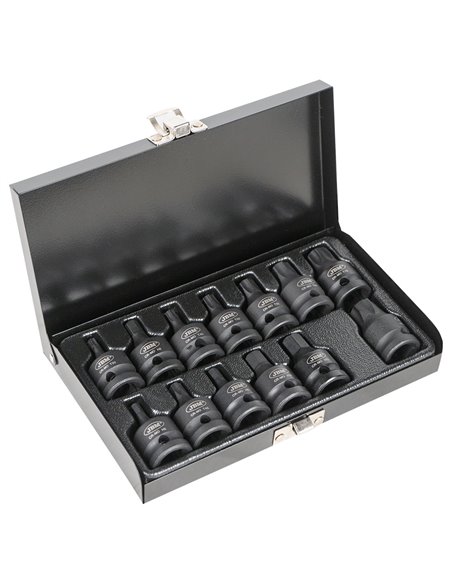 SET DE 13 PUNTAS DE IMPACTO HEXAGONALES Y TORX DE 1/2" 