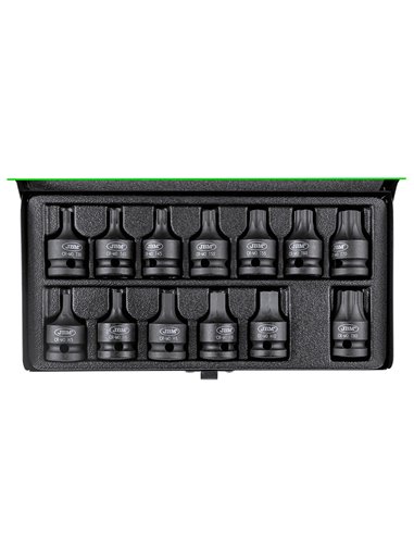 SET DE 13 PUNTAS DE IMPACTO HEXAGONALES Y TORX DE 1/2" 