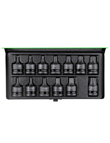 SET DE 13 PUNTAS DE IMPACTO HEXAGONALES Y TORX DE 1/2" 