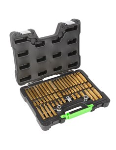 MALETÍN DE 55 PUNTAS Y ADAPTADORES HEXAGONALES, 12 CANTOS Y TORX DE 1/2" Y 3/8" 2