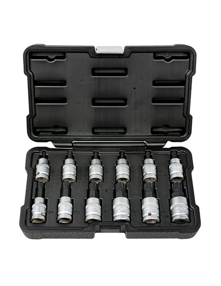 SET DE 12 PUNTAS DE 12 CANTOS DE 1/2"