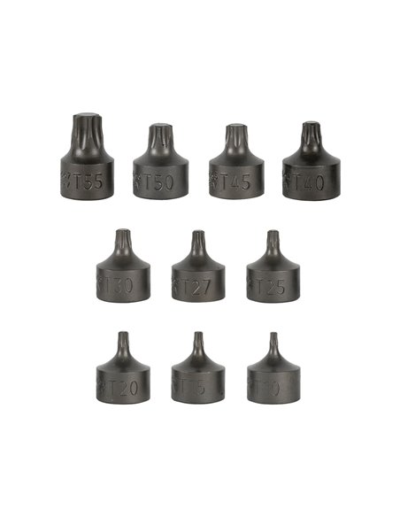 JUEGO DE 10 PUNTAS CORTAS TORX CON VASO DE 3/8" 
