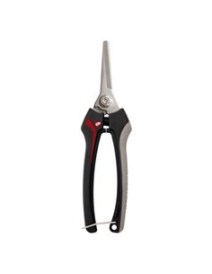 BELLOTA TIJERA RECOLECTORA 3621 INOX-CE MB