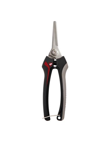 BELLOTA TIJERA RECOLECTORA 3621 INOX-CE MB