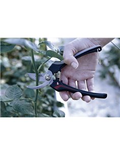 BELLOTA TIJERA RECOLECTORA 3628 INOX-CE MB