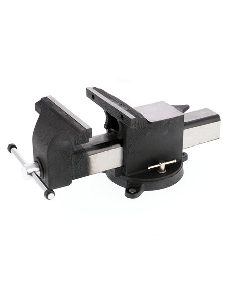 AIRPRESS Tornillo de banco 10" 22 x 330 mm