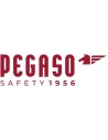 PEGASO SAFETY