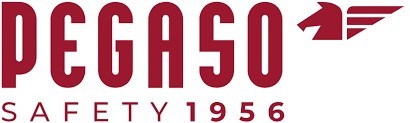 PEGASO SAFETY